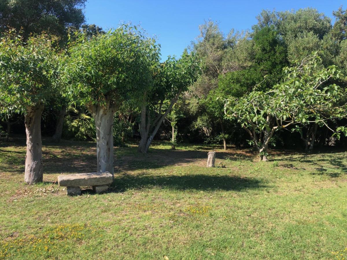Vila Civico34 House 4 - I Giardini Dell'Ancora Stintino Exteriér fotografie